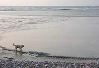 Cjp_2010_04_14_173206 (2).jpg